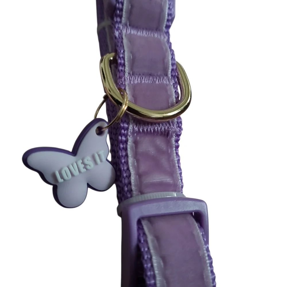 Paris Hilton Purple Collar - Size S